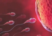 sel sperma