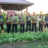 panen sayur