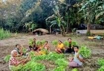 panen sayur maumolo