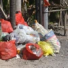 sampah kota