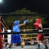 tinju