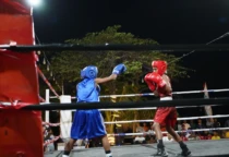 tinju