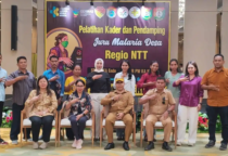 juru malaria desa