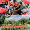Maumolo 29 Juli