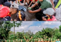Maumolo 29 Juli