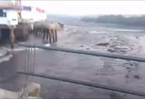 Tsunami di maurole ende