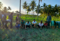 bupati sabu