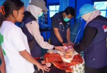 relawan muhammadiyah