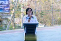 wakil dekan FISIP